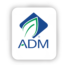 ADM Lysine